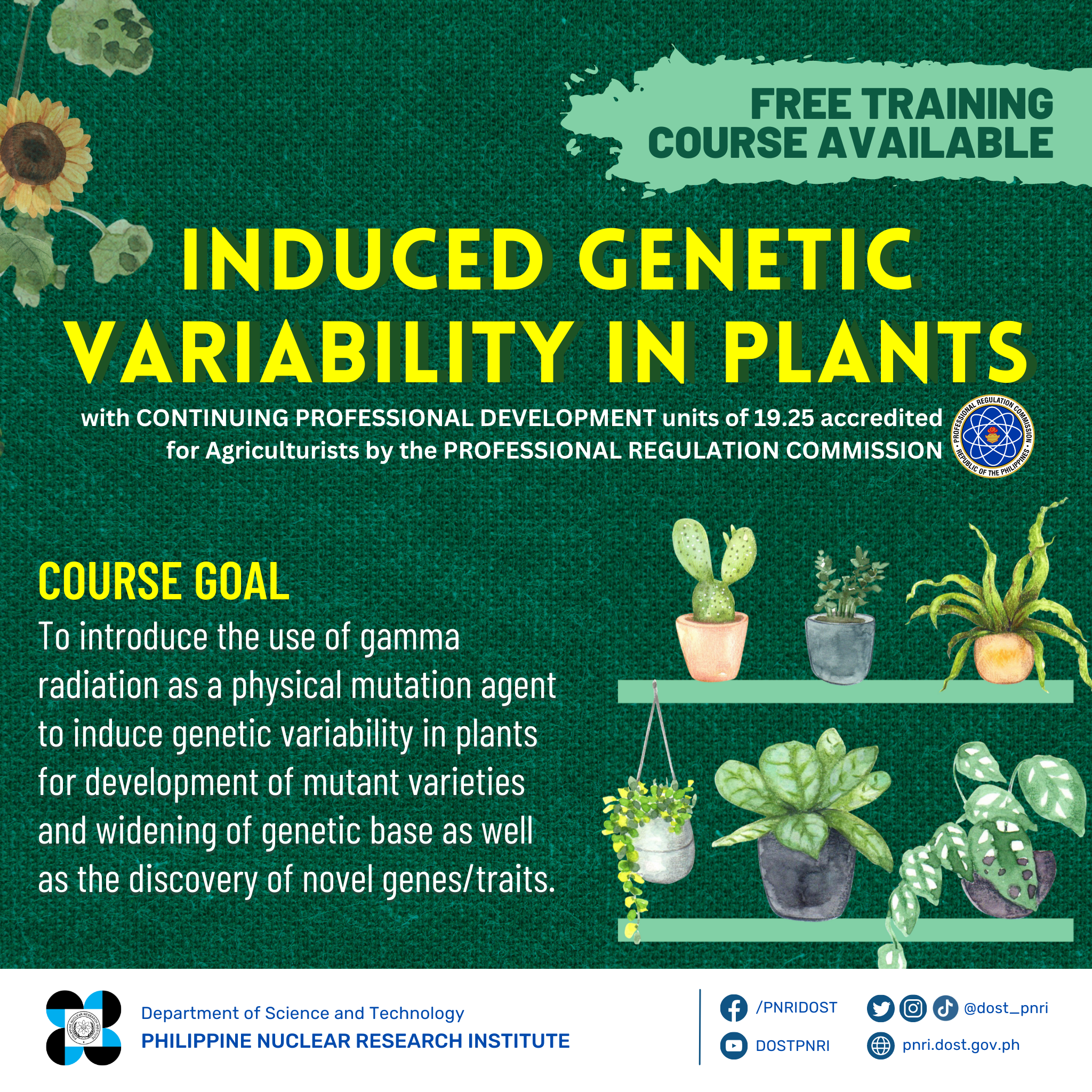 Induced Genetic Variability in Plants